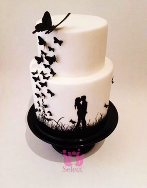 Butterfly Silhouette Cake